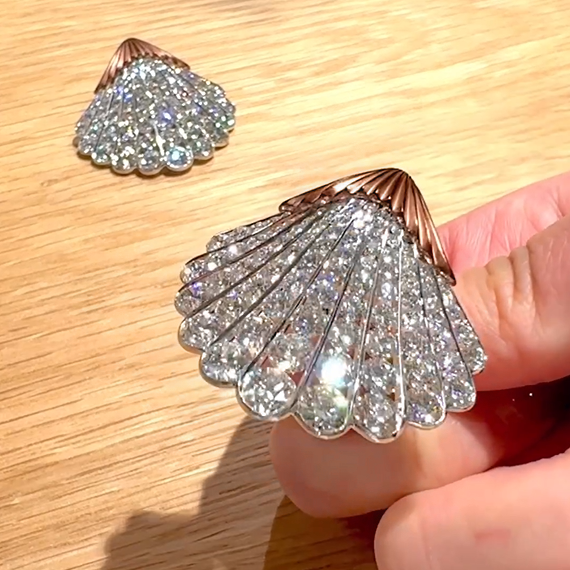 Exquisite 10 ctw Round Cut White Gemstone Shell Earrings -JOSHINY